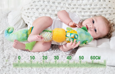 Jouets musicaux et sensoriels en peluche pour bébé