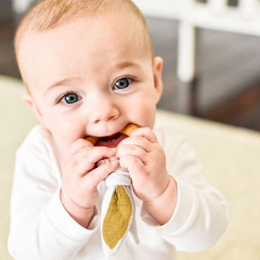 🇫🇷  Anneau de Dentition en Coton Biologique - Miel
